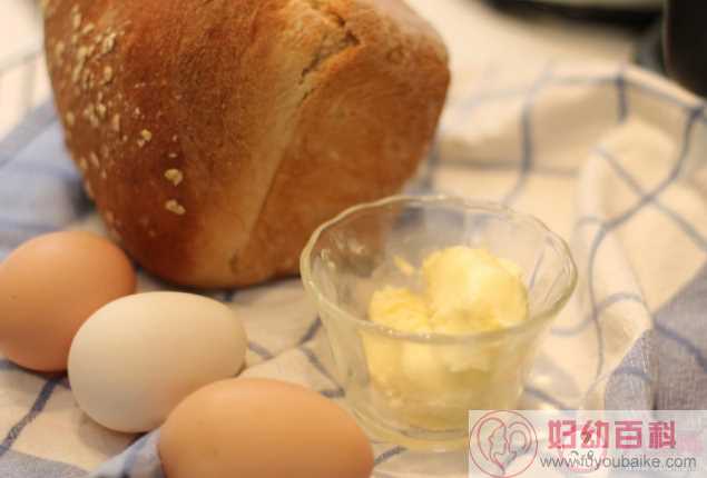 黄油搭配面包真的可以减肥吗 黄油是如何提取出来的