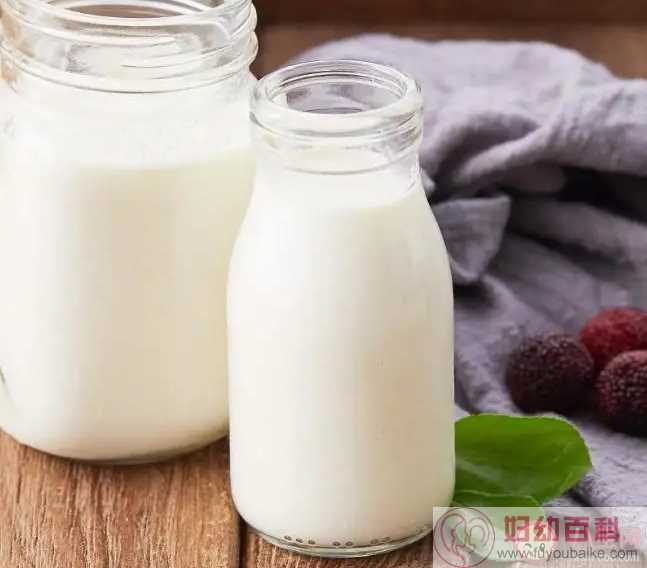 喝牛奶胸会变大吗 牛奶有丰胸的效果吗