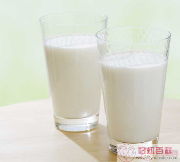 牛奶和豆浆能一起喝吗 早餐牛奶豆浆怎么选择