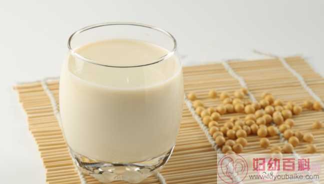 牛奶豆浆适合人群 牛奶豆浆共同点是什么