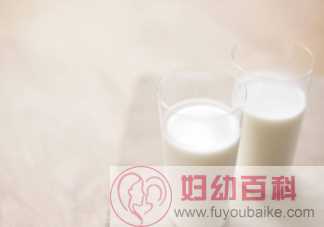 牛奶豆浆适合人群 牛奶豆浆共同点是什么